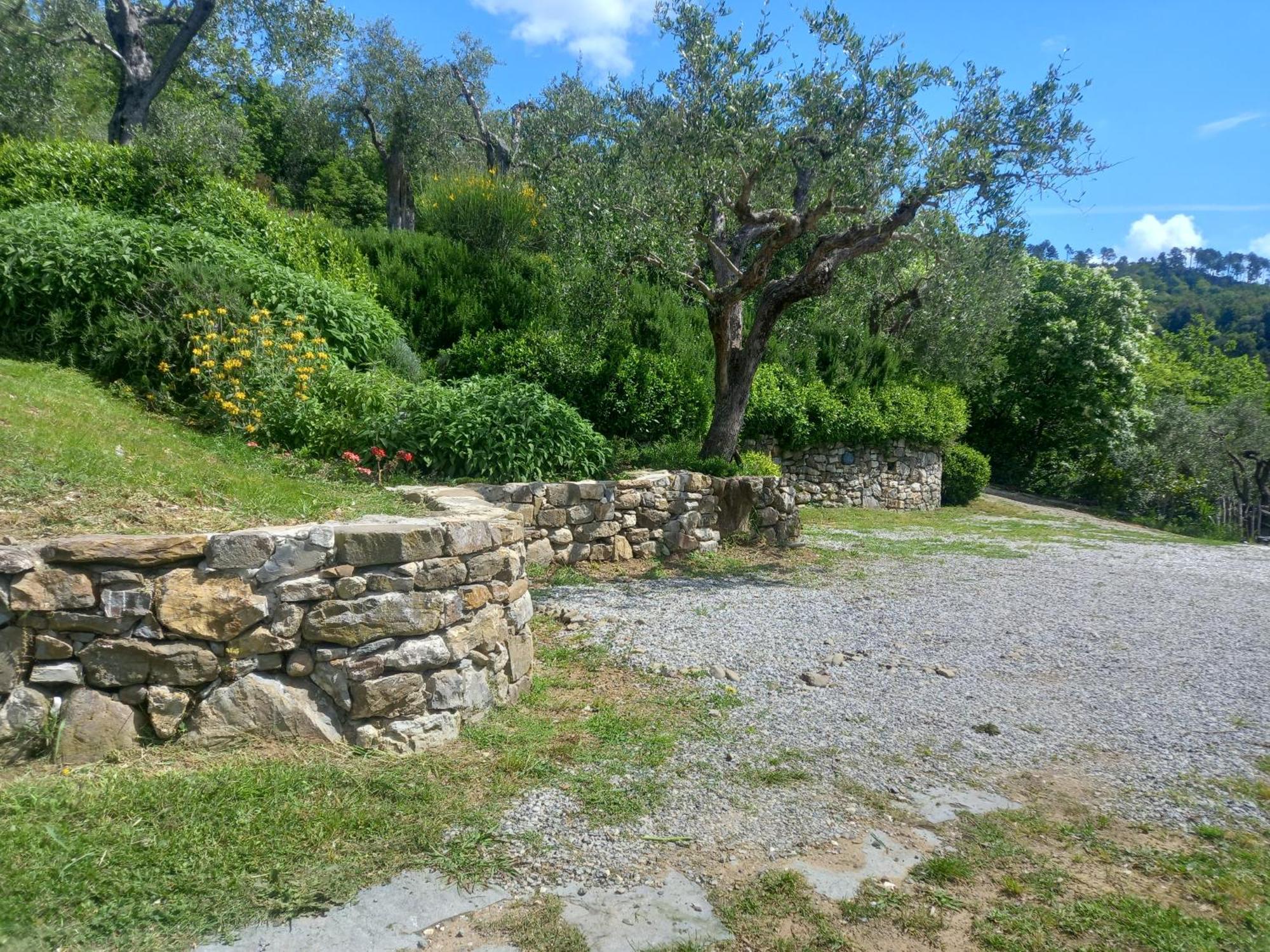 Hotel Il Colle Della Brina Sarzana Esterno foto