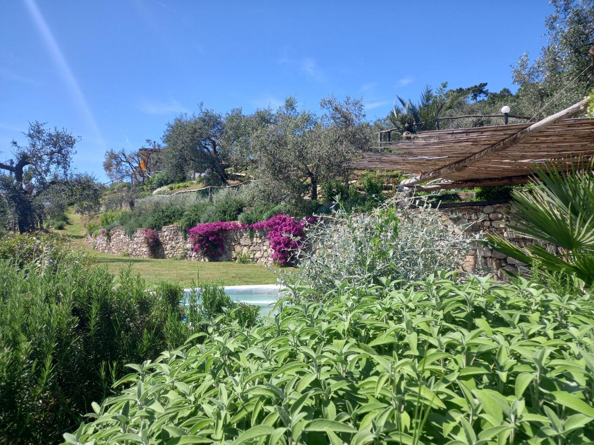 Hotel Il Colle Della Brina Sarzana Esterno foto