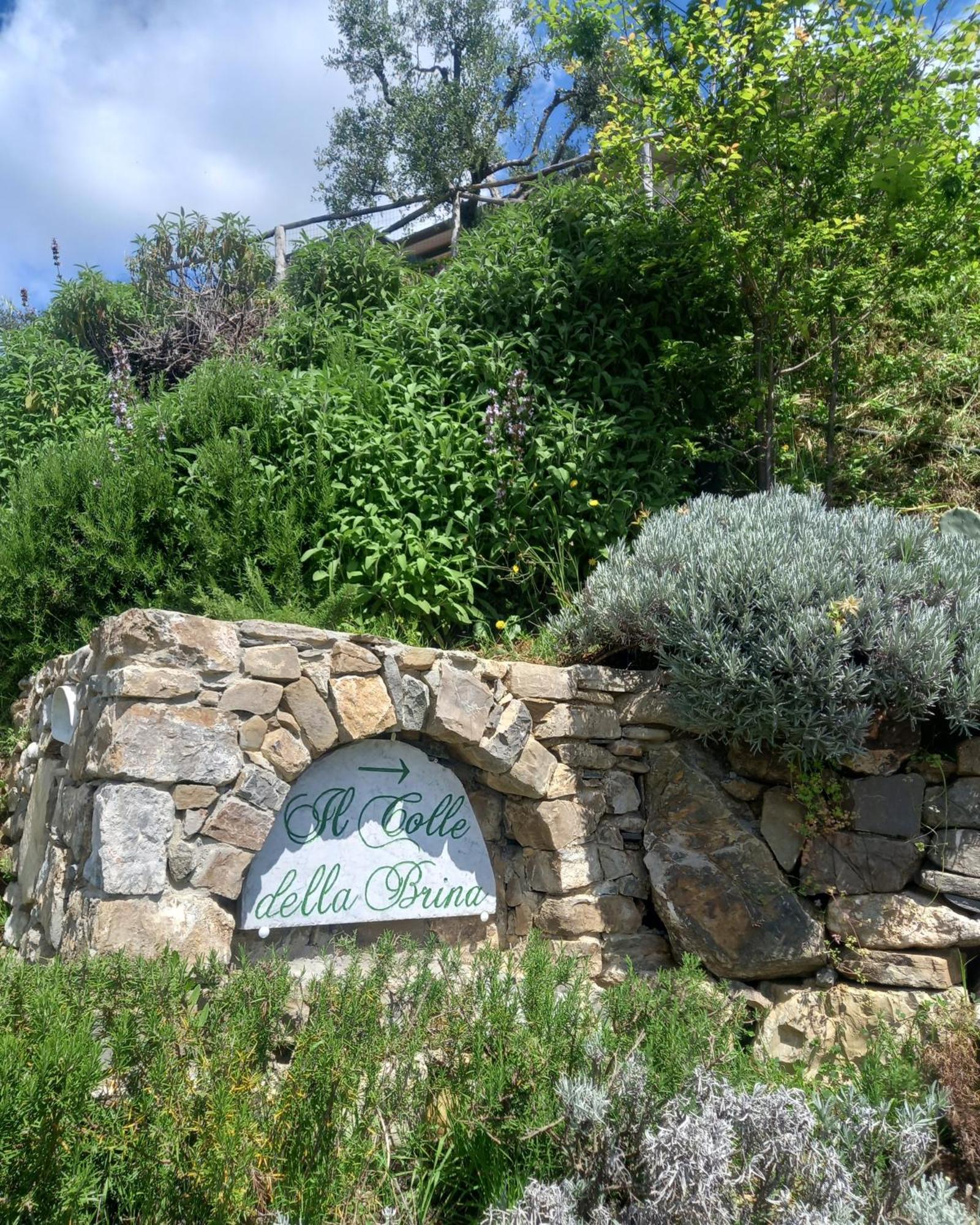 Hotel Il Colle Della Brina Sarzana Esterno foto