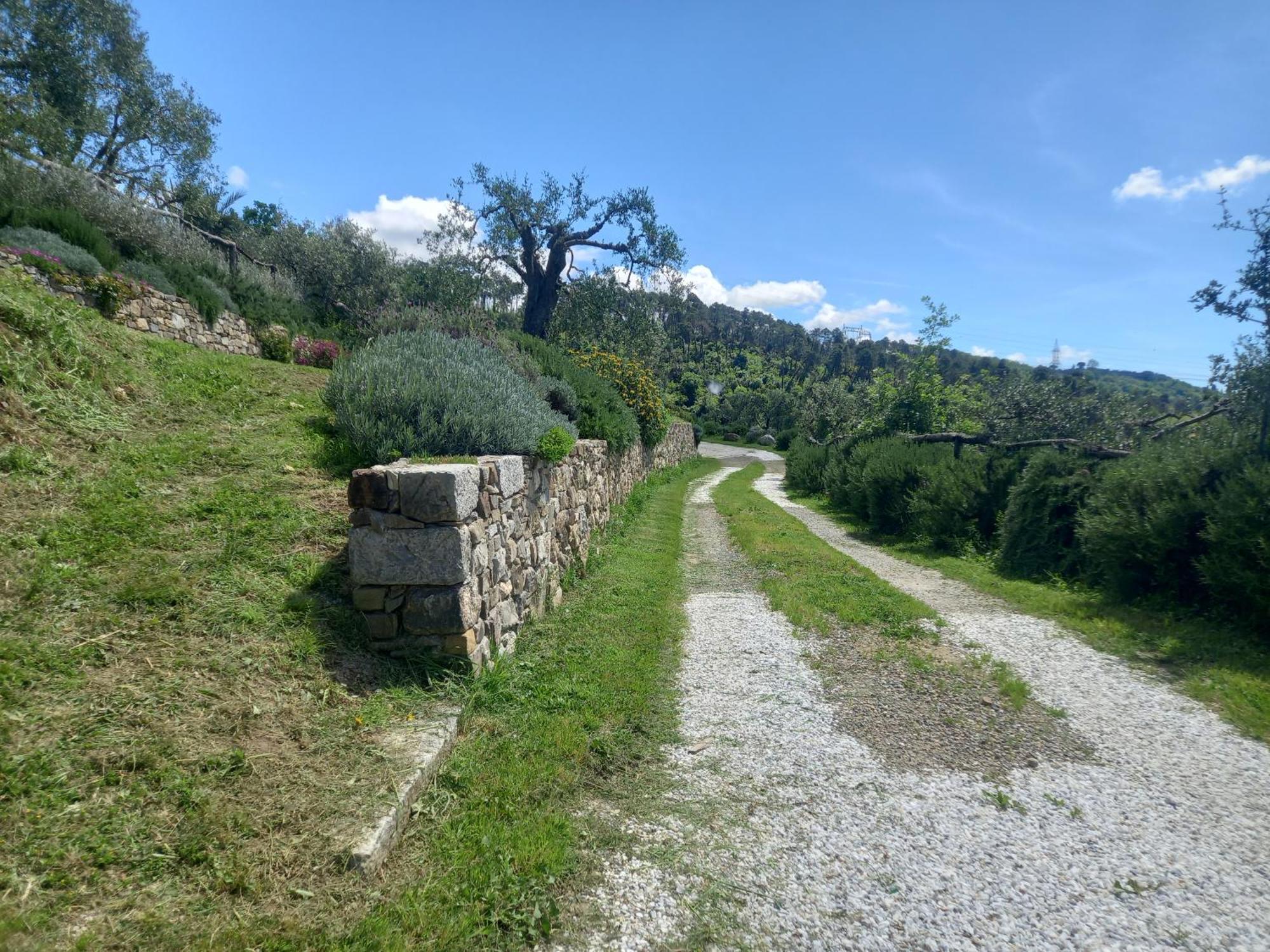 Hotel Il Colle Della Brina Sarzana Esterno foto
